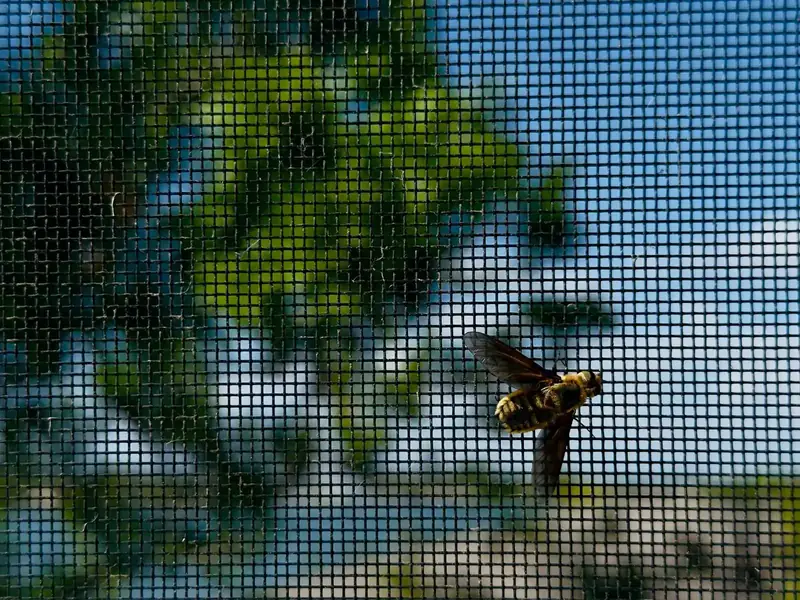 20/20 No-See-Um Screen mesh close-up